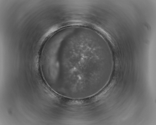 X0000110891411200906181236