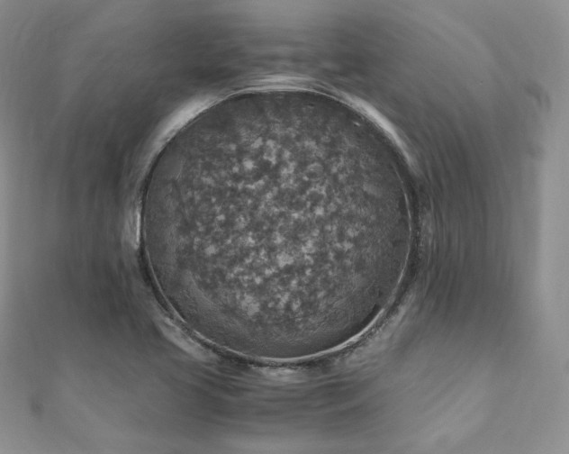 X0000110891413200906181236