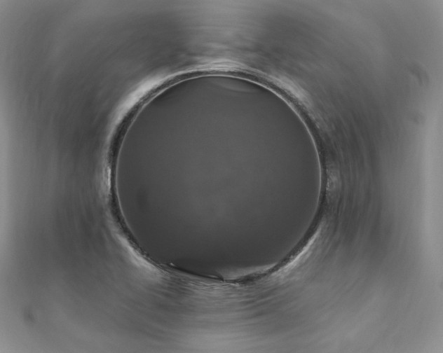 X0000110891414200906181236