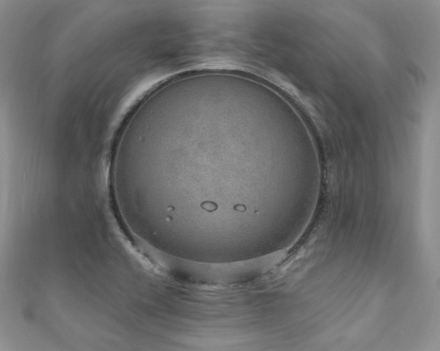 X0000110891416200906181236