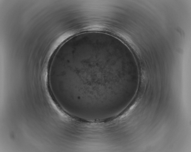 X0000110891418200906181236