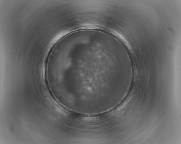 X0000110891419200906181236