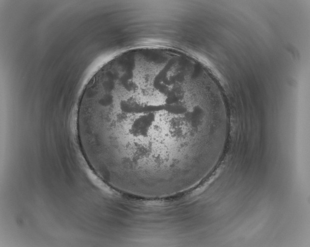 X0000110891421200906181236