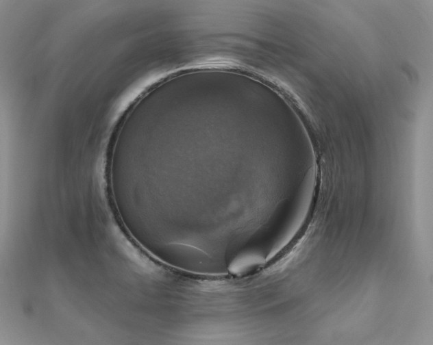 X0000110891422200906181237