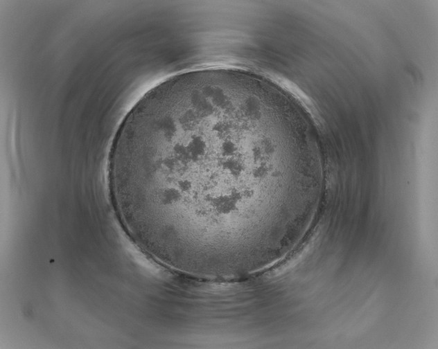 X0000110891423200906181237