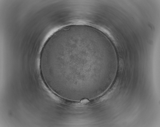 X0000110891424200906181237