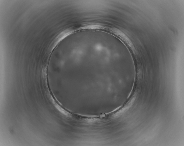 X0000110891425200906181237