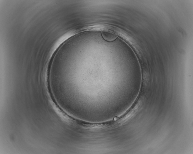 X0000110891426200906181237