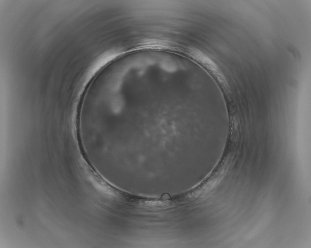 X0000110891427200906181237