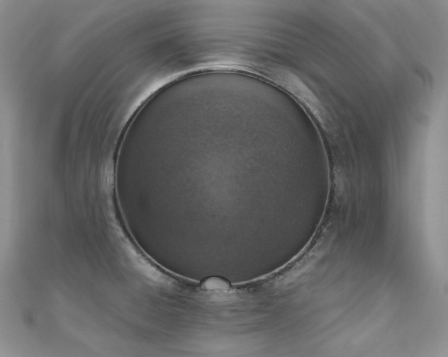 X0000110891428200906181237