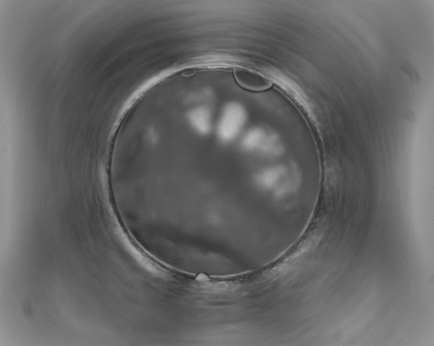 X0000110891429200906181237