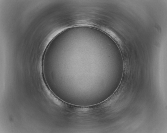 X0000110891431200906181237