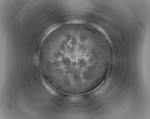 X0000110891433200906181237