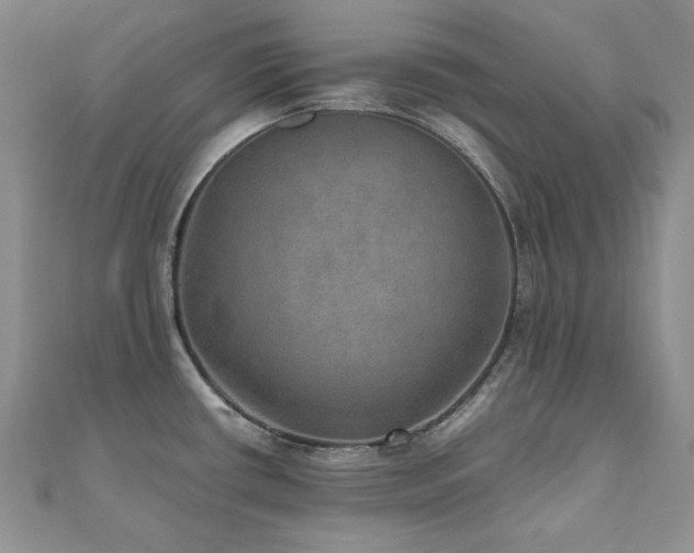 X0000110891434200906181237