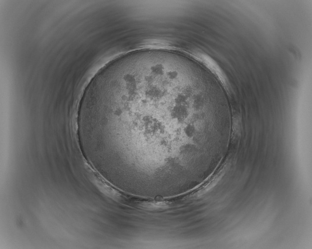 X0000110891435200906181237