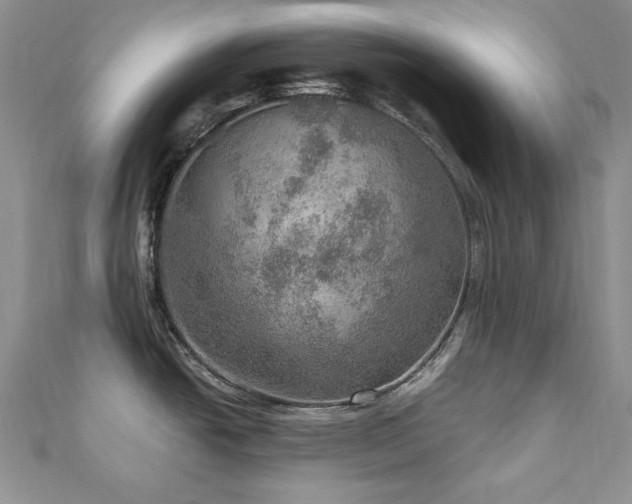X0000110891438200906181237
