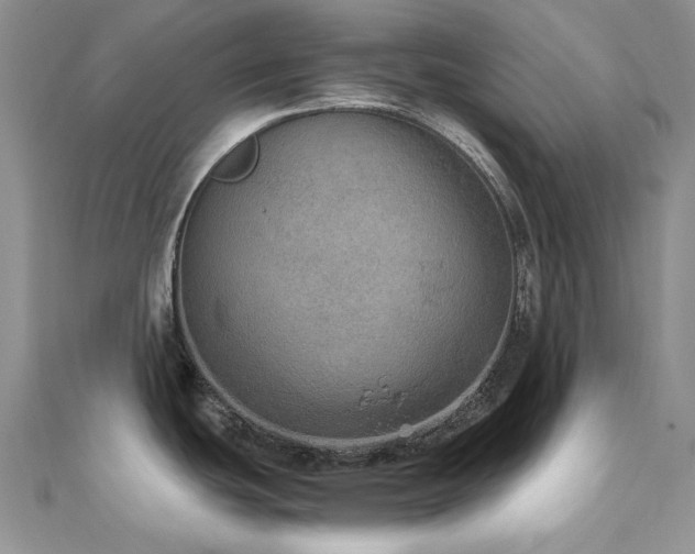 X0000110891439200906181237