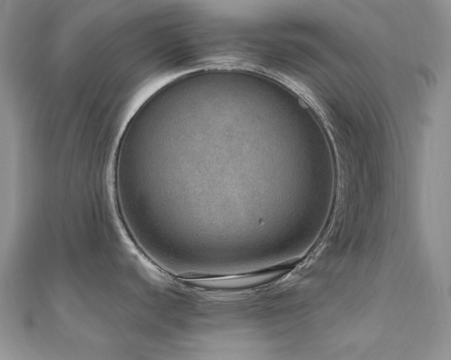 X0000110891440200906181237