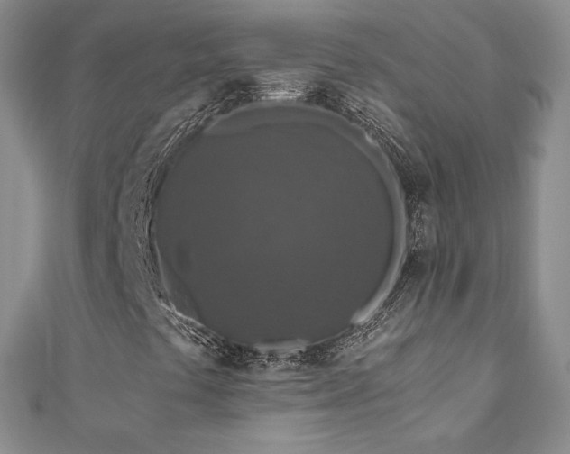 X0000110891441200906181236