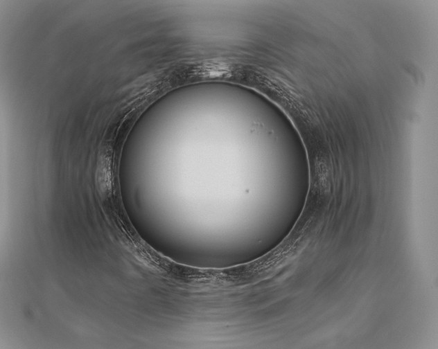 X0000110891442200906181236