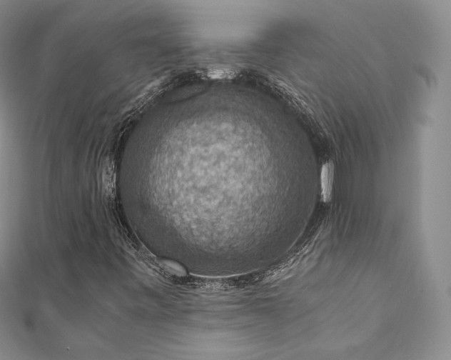 X0000110891443200906181236