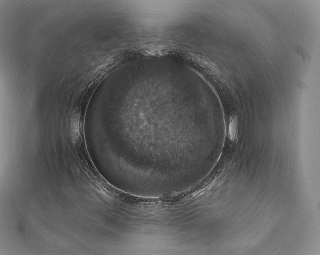 X0000110891444200906181236
