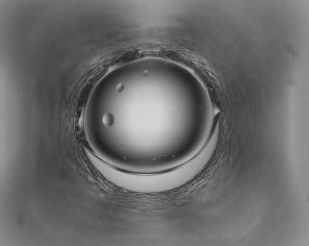 X0000110891445200906181236