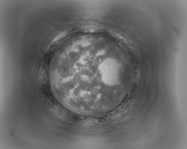 X0000110891446200906181236