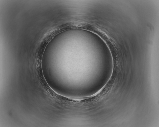 X0000110891447200906181236