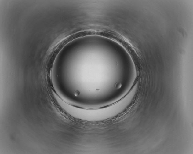X0000110891448200906181236