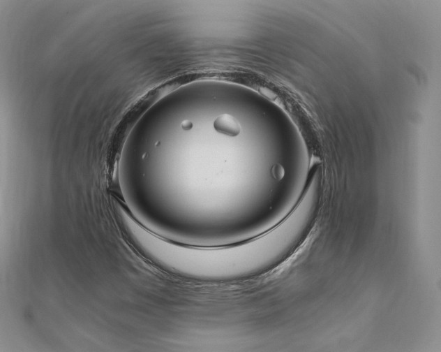 X0000110891449200906181236
