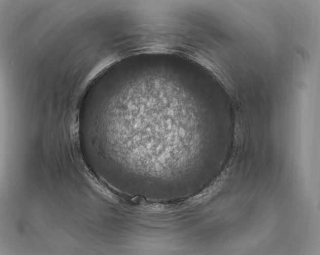 X0000110891450200906181236