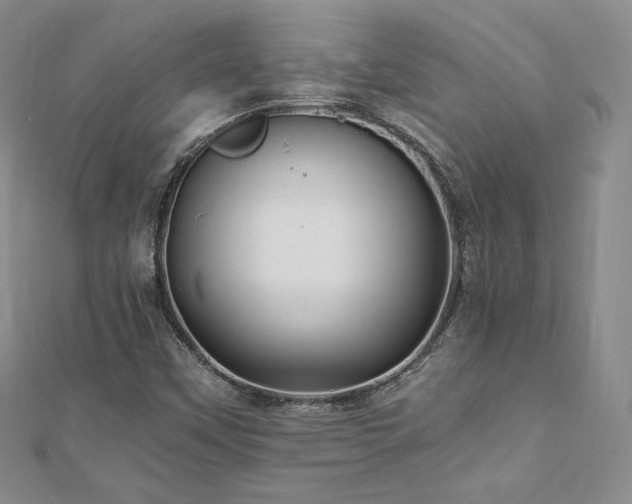 X0000110891451200906181236