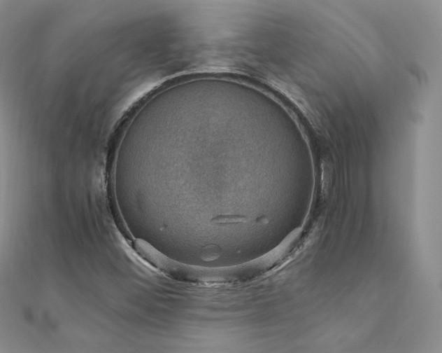 X0000110891452200906181236