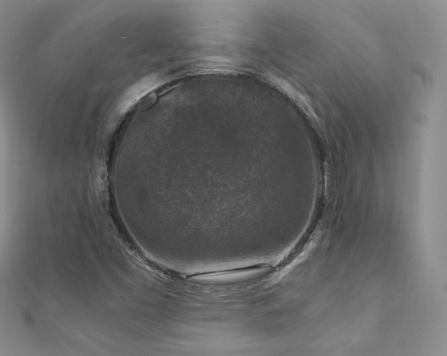 X0000110891453200906181236