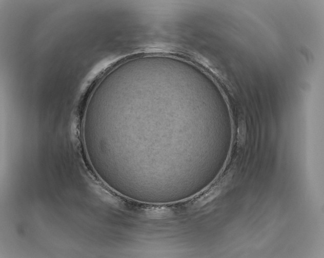 X0000110891454200906181236