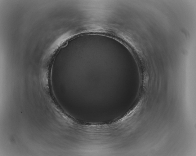 X0000110891455200906181236