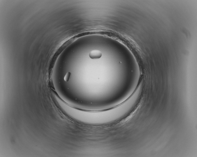 X0000110891457200906181236