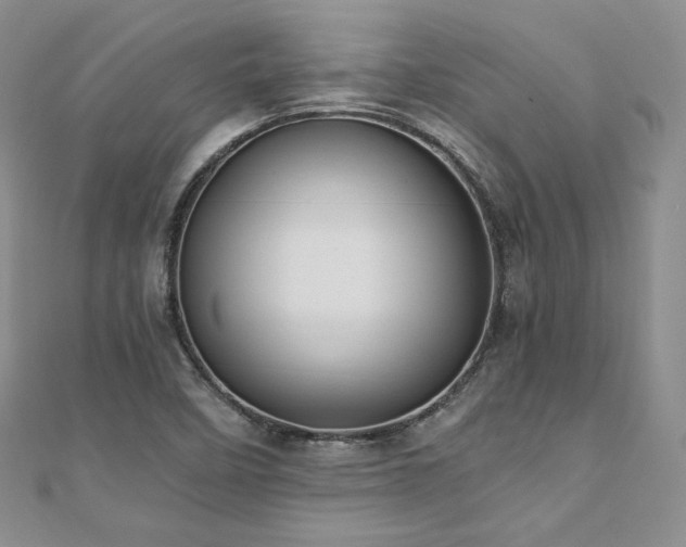 X0000110891458200906181236