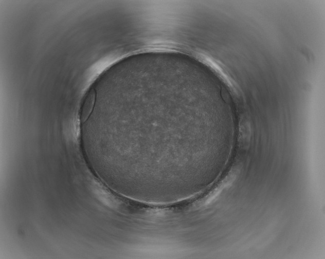 X0000110891461200906181236