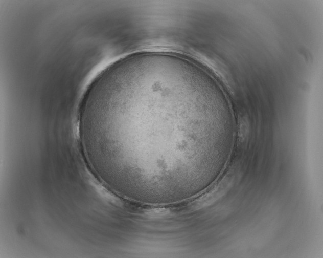 X0000110891462200906181236