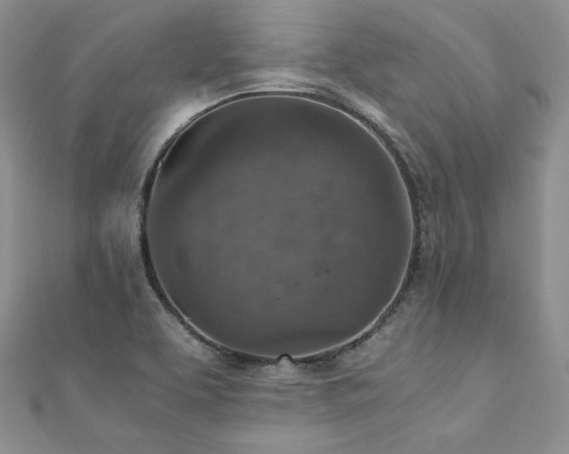 X0000110891463200906181236