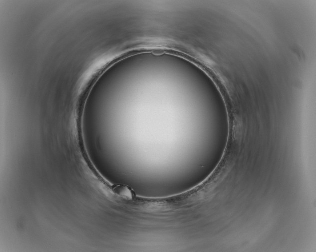 X0000110891464200906181236