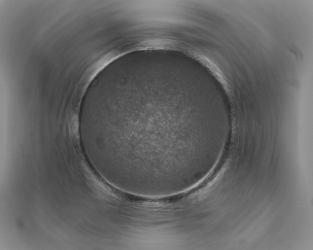 X0000110891465200906181236