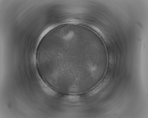 X0000110891466200906181236