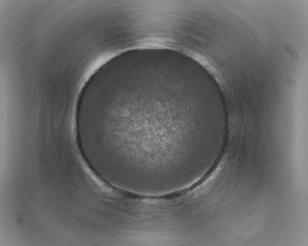 X0000110891469200906181236