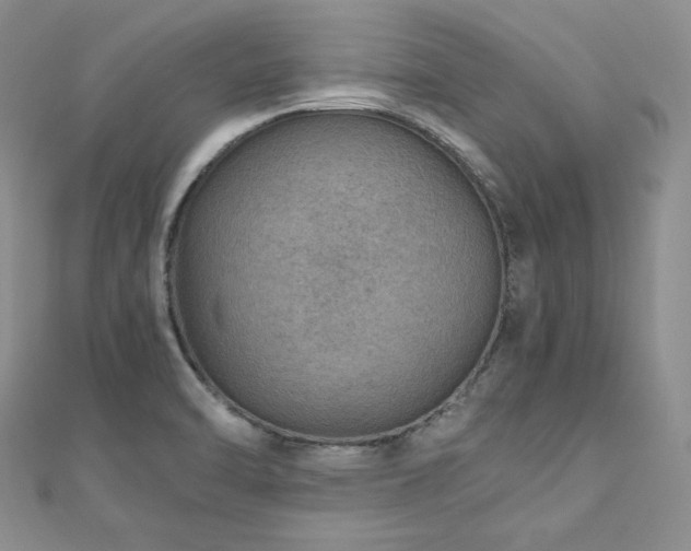 X0000110891470200906181236