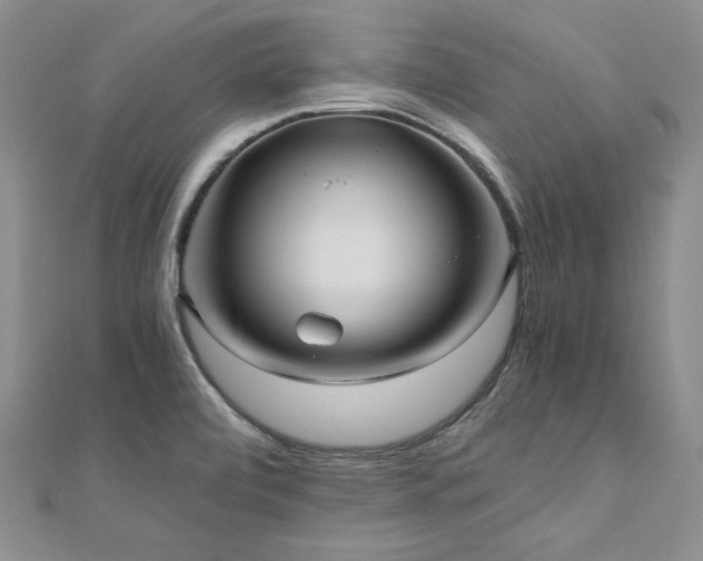 X0000110891472200906181236