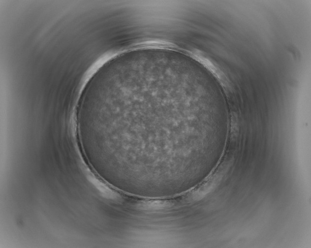 X0000110891474200906181236