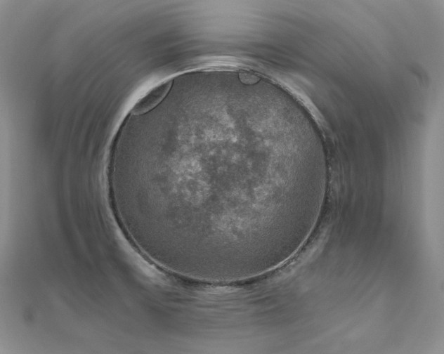 X0000110891475200906181236
